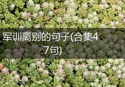 军训离别的句子(合集47句)