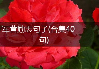 军营励志句子(合集40句)