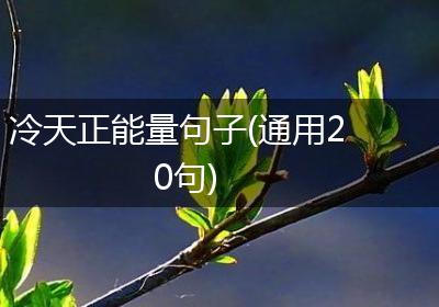 冷天正能量句子(通用20句)