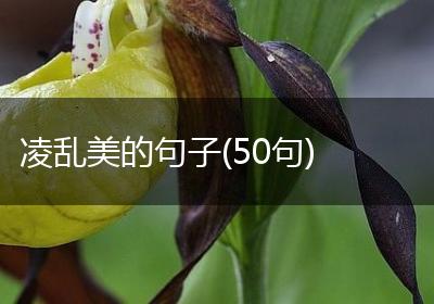 凌乱美的句子(50句)
