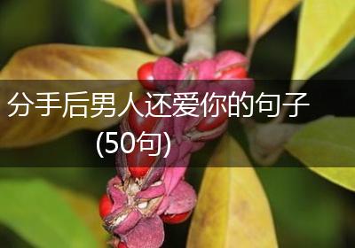分手后男人还爱你的句子(50句)
