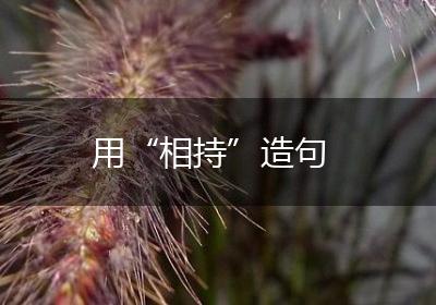 用“相持”造句
