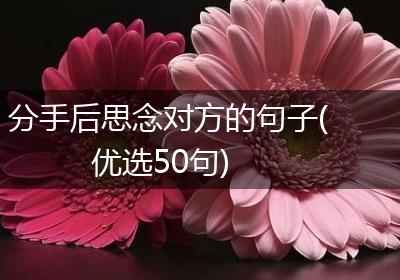 分手后思念对方的句子(优选50句)