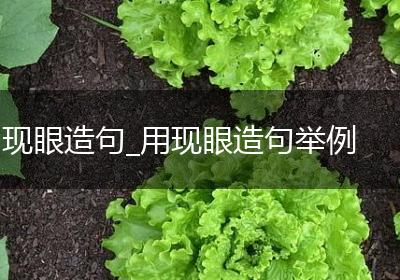 现眼造句_用现眼造句举例