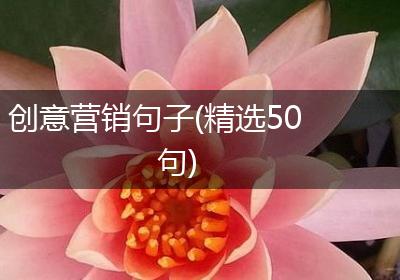 创意营销句子(精选50句)