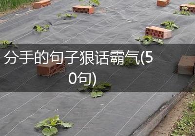 分手的句子狠话霸气(50句)