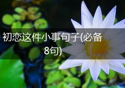 初恋这件小事句子(必备8句)