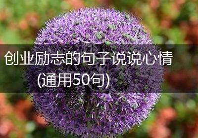 创业励志的句子说说心情(通用50句)