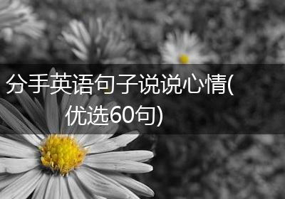 分手英语句子说说心情(优选60句)