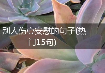 别人伤心安慰的句子(热门15句)