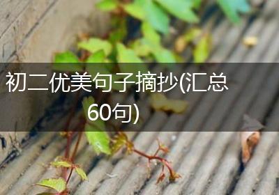 初二优美句子摘抄(汇总60句)