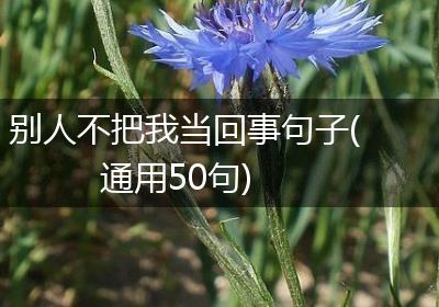别人不把我当回事句子(通用50句)