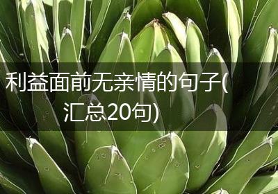 利益面前无亲情的句子(汇总20句)