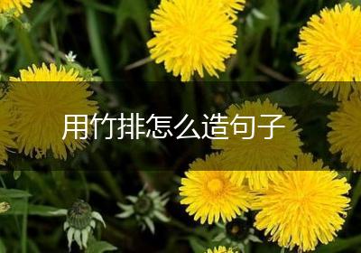 用竹排怎么造句子