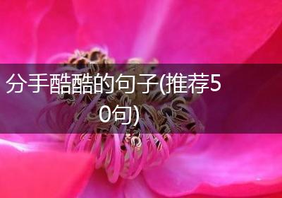 分手酷酷的句子(推荐50句)