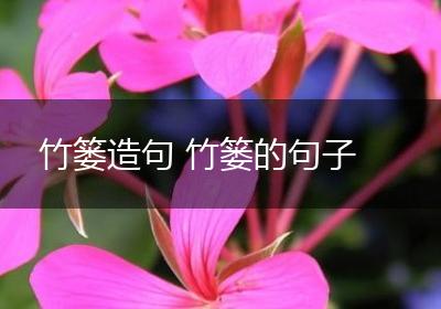 竹篓造句 竹篓的句子
