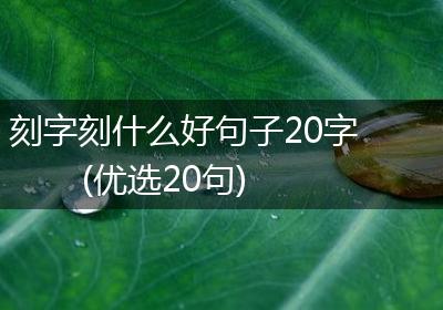 刻字刻什么好句子20字(优选20句)