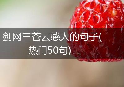 剑网三苍云感人的句子(热门50句)