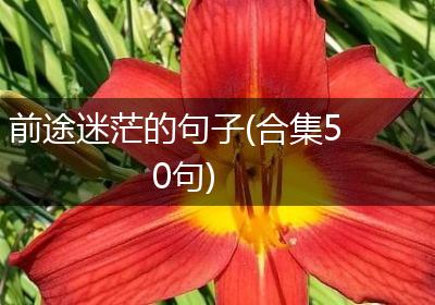 前途迷茫的句子(合集50句)