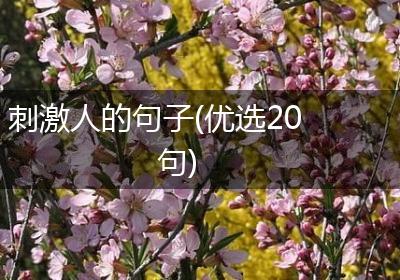 刺激人的句子(优选20句)