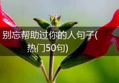 别忘帮助过你的人句子(热门50句)