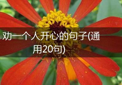 劝一个人开心的句子(通用20句)