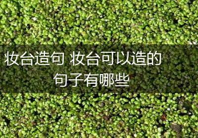 妆台造句 妆台可以造的句子有哪些