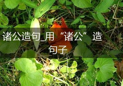 诸公造句_用“诸公”造句子