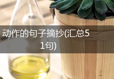 动作的句子摘抄(汇总51句)