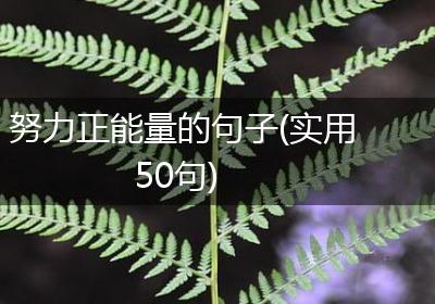 努力正能量的句子(实用50句)