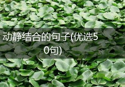 动静结合的句子(优选50句)
