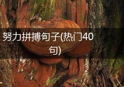 努力拼搏句子(热门40句)