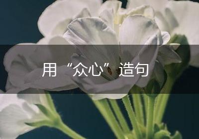 用“众心”造句