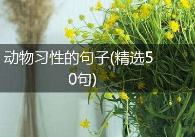 动物习性的句子(精选50句)