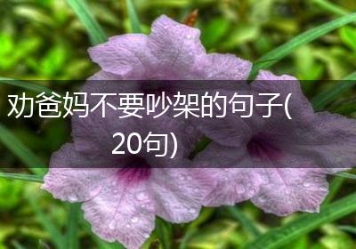 劝爸妈不要吵架的句子(20句)