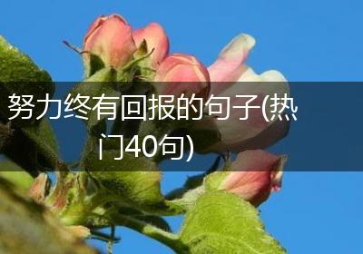 努力终有回报的句子(热门40句)