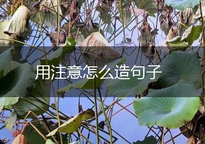 用注意怎么造句子