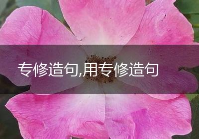 专修造句,用专修造句
