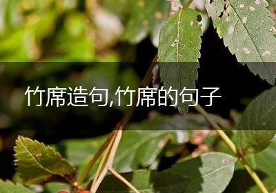 竹席造句,竹席的句子