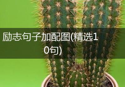 励志句子加配图(精选10句)