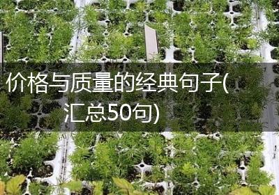 价格与质量的经典句子(汇总50句)