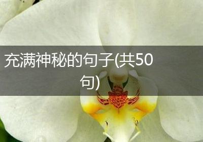 充满神秘的句子(共50句)