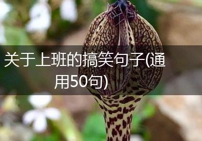 关于上班的搞笑句子(通用50句)