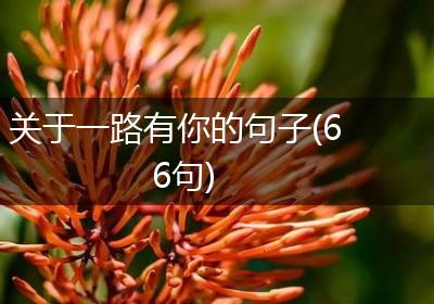 关于一路有你的句子(66句)