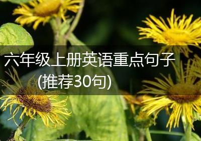 六年级上册英语重点句子(推荐30句)