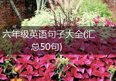 六年级英语句子大全(汇总50句)