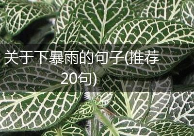 关于下暴雨的句子(推荐20句)
