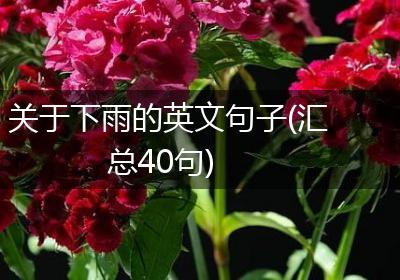 关于下雨的英文句子(汇总40句)