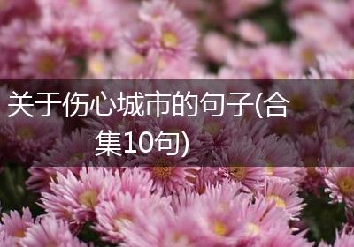关于伤心城市的句子(合集10句)