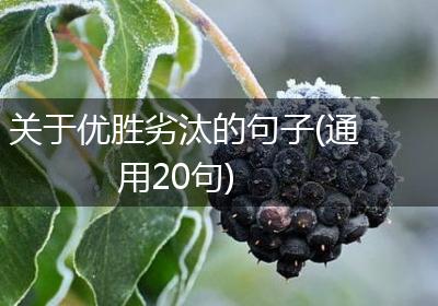 关于优胜劣汰的句子(通用20句)